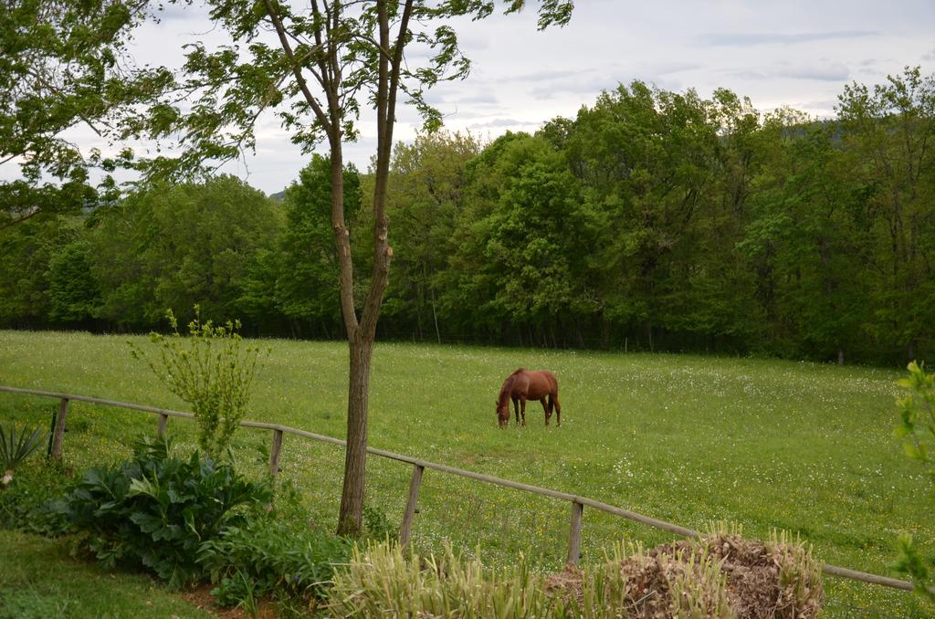 La Gueriniere Bed and Breakfast Cénac-et-Saint-Julien Exteriör bild