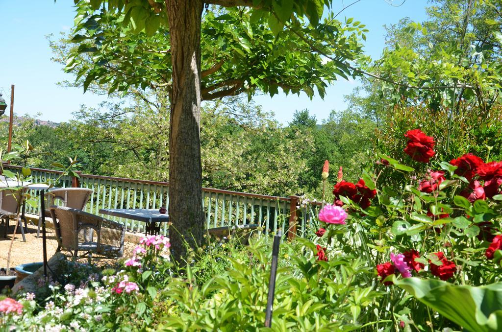 La Gueriniere Bed and Breakfast Cénac-et-Saint-Julien Exteriör bild